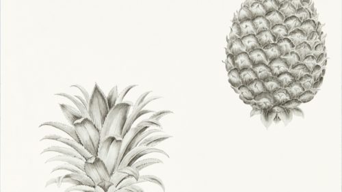 Pineapple Royale 216324